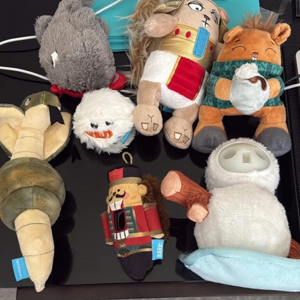 Barkbox large dog toys